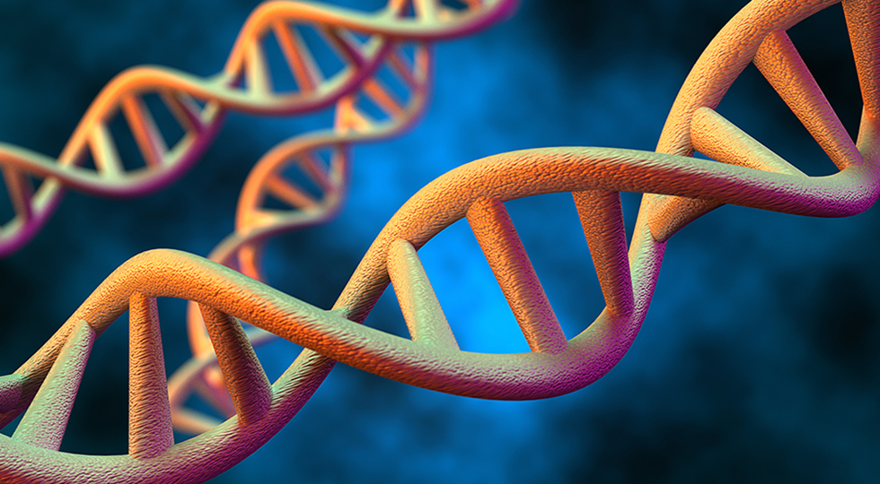 Rutgers Cancer Institute of New Jersey