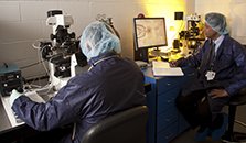 Transgenic/Knock-out Mouse Shared Resource