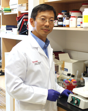X. F. Steven Zheng, PhD