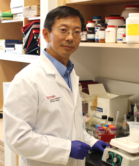 Steven Zheng, PhD
