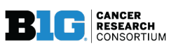 BIG Cancer Research Consortium