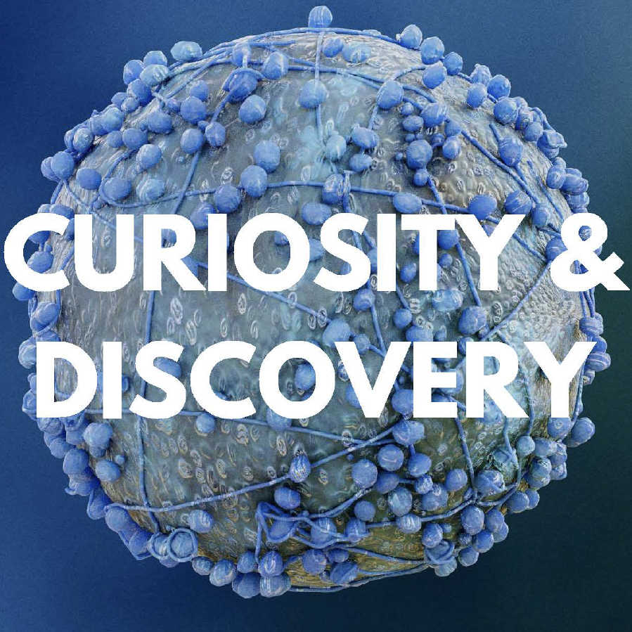image of a cell with the words curiosity and diversity overlaid