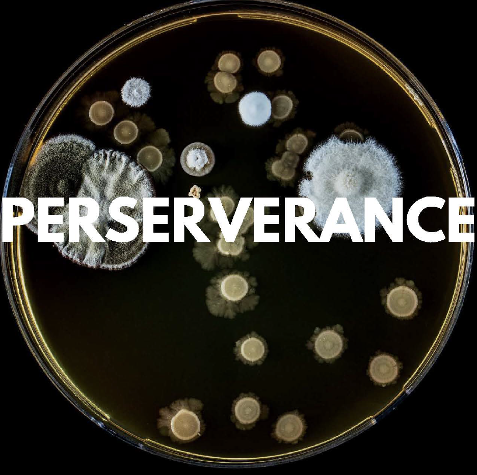 image of cells in a petri dish with the word Perseverance overlaid on top