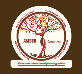 AMBER Consortium