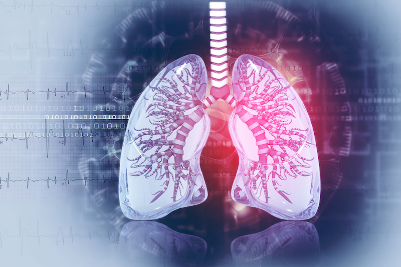 Medical illustration of the heart and lung