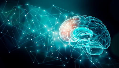 illustration of human brain activity with plexus lines