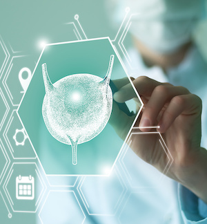 Adobedoctor holding graphic virtual visualization model of Bladder organ