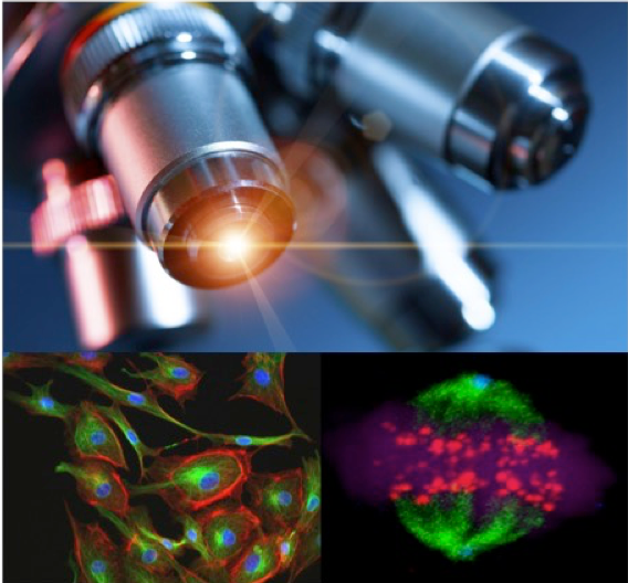 Advanced Microscopy Shared Resource