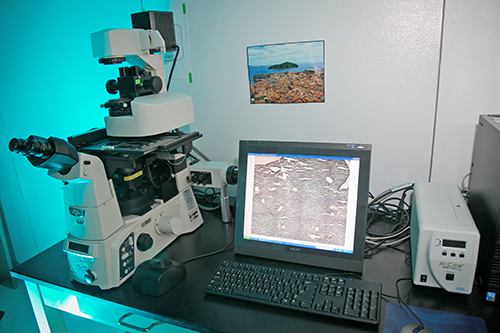 Applied Biosciences System