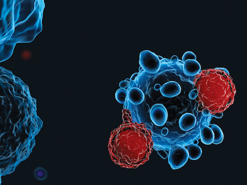 illustration of cancer cell being attacked by t cells