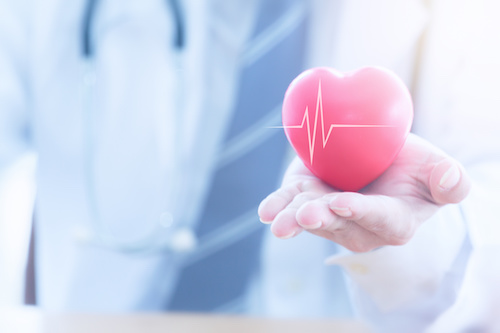 Closeup doctor is wearing a stethoscope and holding red heart shape with ecg line