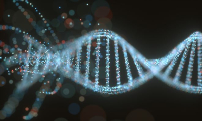 Genetic Structure DNA