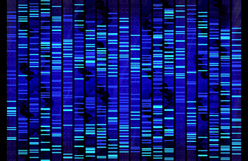 DNA data