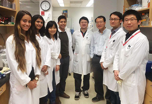 Feng Lab Team