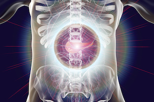 illustration of pancreas within human body