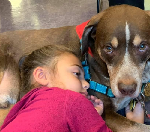 little girl cuddled up to therapy dog