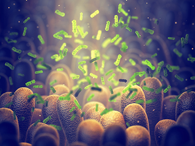 Gut Microbiome illustration