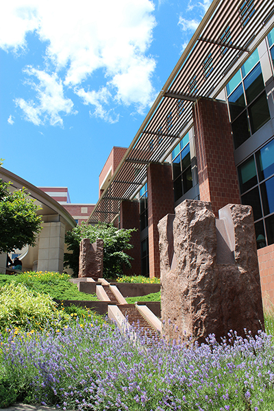 Rutgers Cancer Institute of New Jersey 