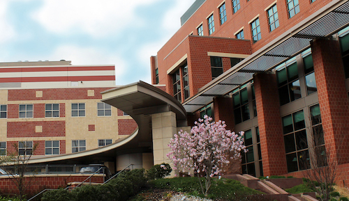 outside view of Rutgers Cancer Institute building in the springtime with flowers blooming