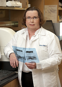 Eileen White, PhD