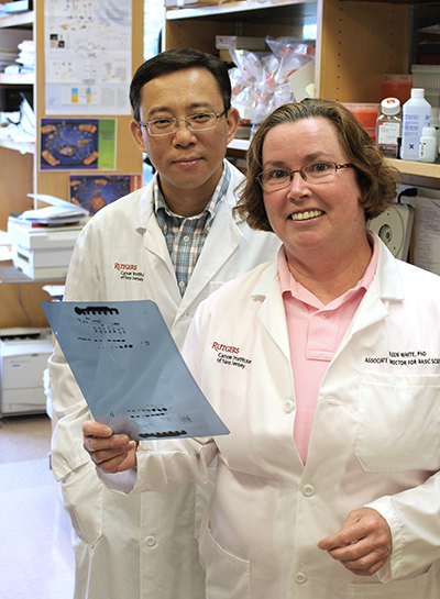 Bing Xia, PhD and Eileen White, PhD