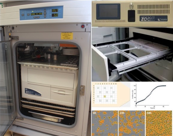 Essen Bioscience Continuous Live-cell Imaging & Analysis System