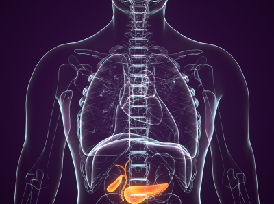 Blue graphic showing glowing, red biliary tract syste,