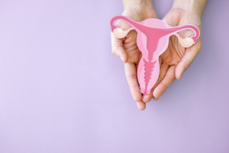 Palms holding model of a uterus over purple background