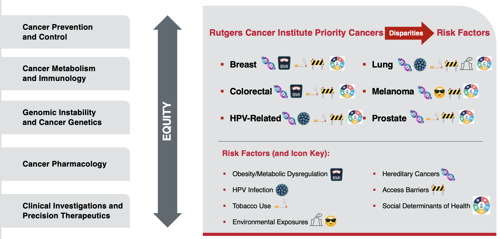 graphic discussing priority cancers and risk factors