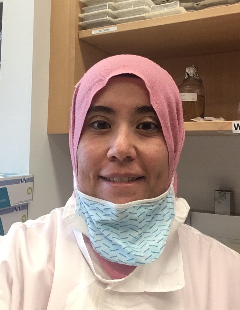 Shaimaa Hussein headshot