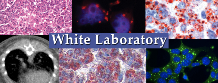White Laboratory Rutgers Cancer Institute Of New Jersey