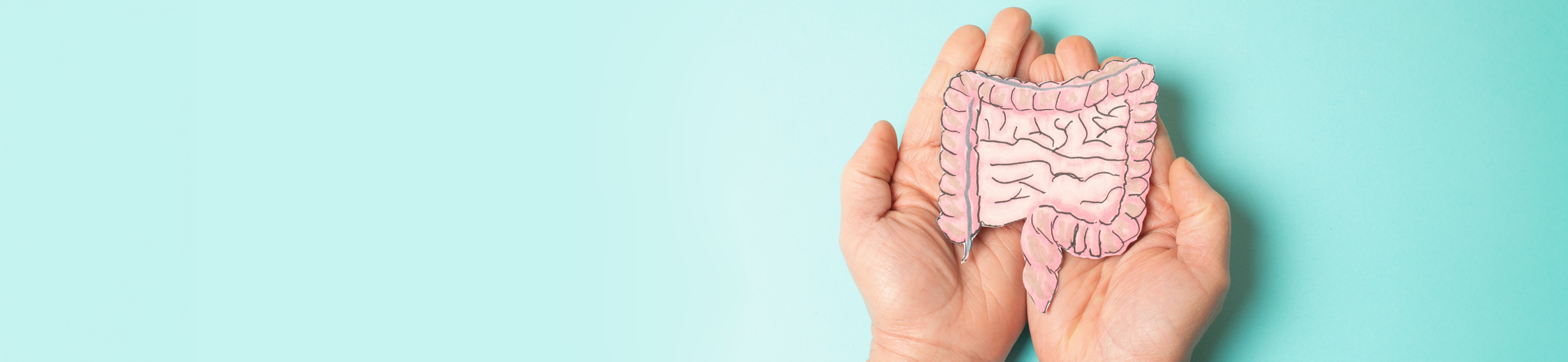 Hands holding paper model of gastrointestinal system over blue background