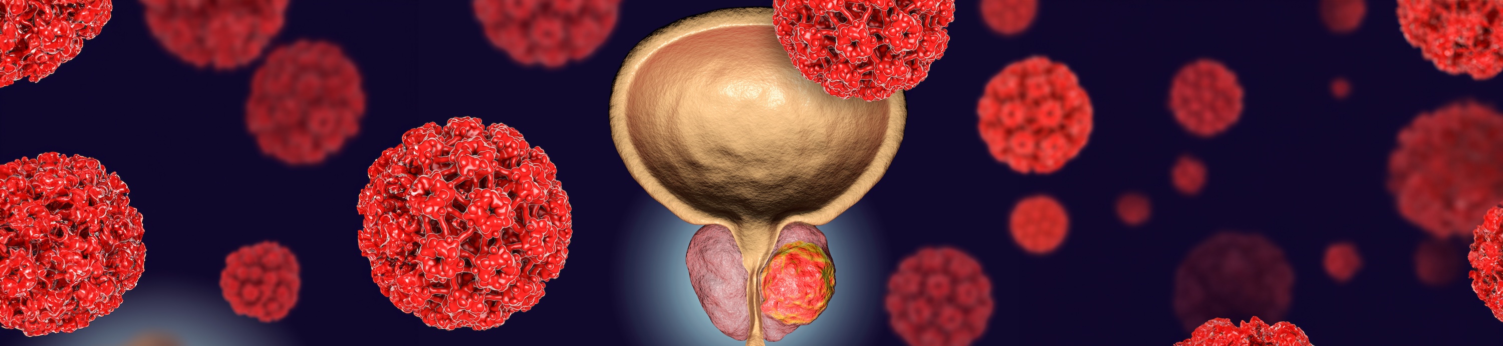Close up of anatomical model of prostate surrounded by floating red cancer cells