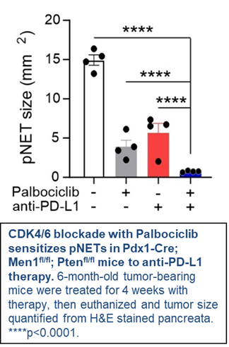 SPORE Project 1 analysis chart